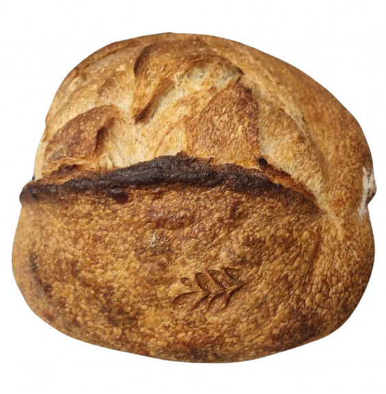 Plain Sourdough